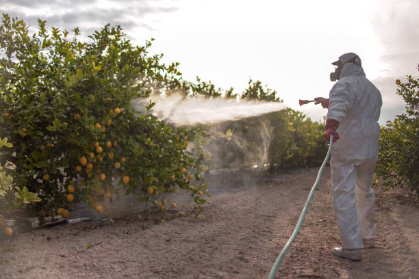 Best Local Pest Control Services  in Reedurban, OH