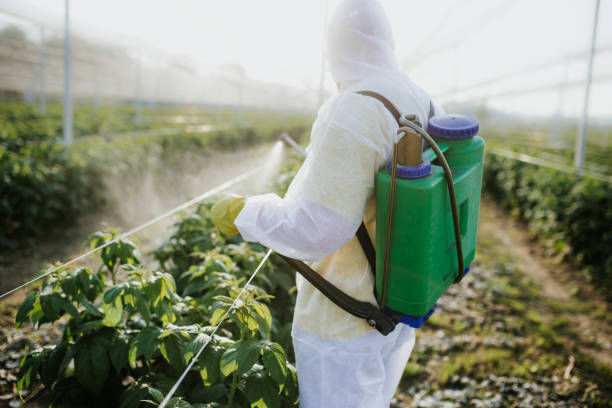 Best Wildlife Control Services  in Reedurban, OH
